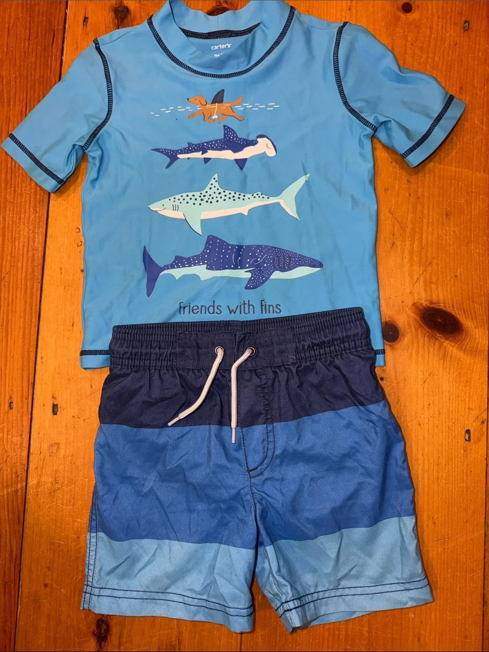 Carter's Light Blue Navy 'Friends With Fins' Boys Rashguard Swim Set 3T